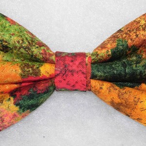 Puede incluir: Una pajarita con estampado de follaje de oto&ntilde;o en tonos naranja, rojo, verde y amarillo.