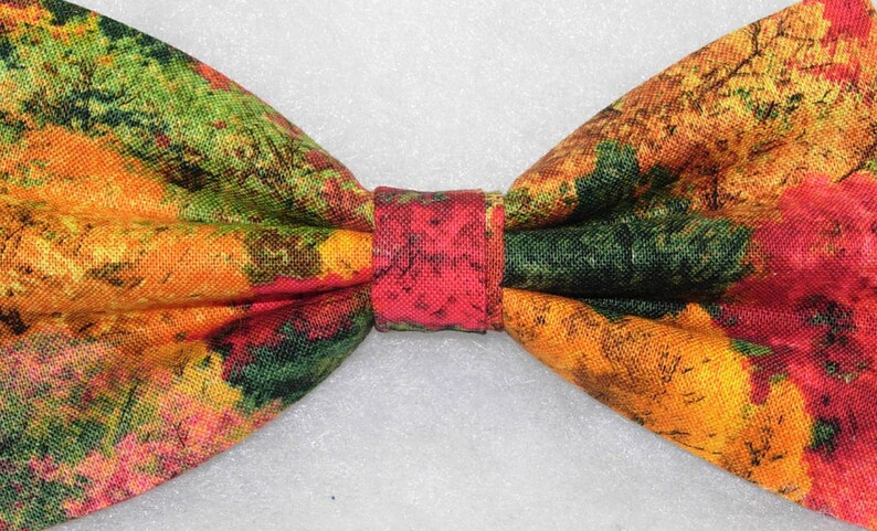 Puede incluir: Una pajarita con estampado de follaje de oto&ntilde;o en tonos naranja, rojo, verde y amarillo.