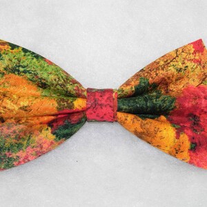 Puede incluir: Una pajarita con estampado de follaje de oto&ntilde;o en tonos rojos, naranjas, amarillos, verdes y marrones.