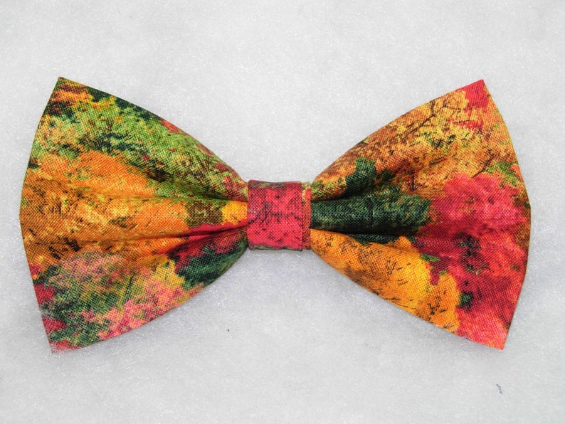 Puede incluir: Una pajarita con estampado de follaje de oto&ntilde;o en tonos rojos, naranjas, amarillos, verdes y marrones.