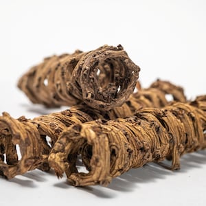 Natural Palm Spring Pods (3 Pack): Terrarium, Aquarium & Craft Supply