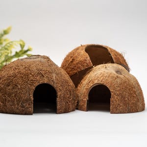 Coconut Cave: Dart Frog Coconut Hut, Betta Fish Hide, Shrimp Spawning Site