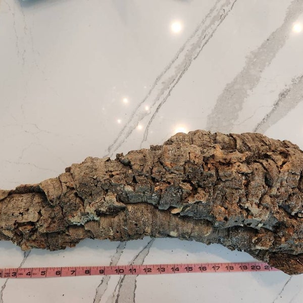 Cork Bark Etsy