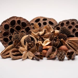 potting soil vs mix Organic Potting Mix: Buy Soil for Plants, Flowers