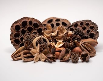 Botanical Seed Pod Variety Pack: Bioactive Terrarium & Aquarium Decor (33-Piece Set, Includes Lotus Pods