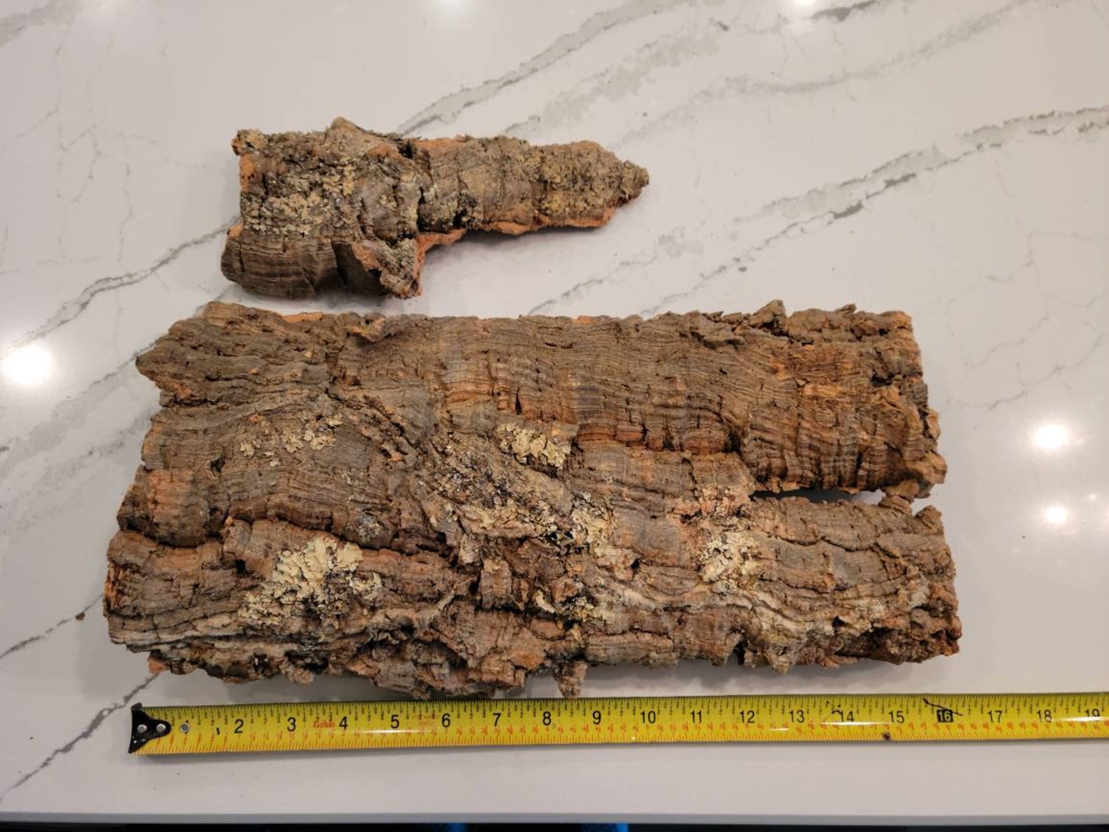 Cork Bark Flats 1 pound Etsy