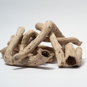 May include: A collection of light brown, weathered driftwood pieces with a smooth, eroded texture and visible porous holes. The branches are curved and irregular in shape, stacked together to form a small, dense pile of natural wood elements.