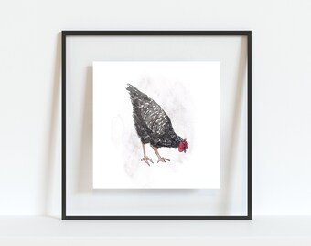 Wall Decor Barred Plymouth Rock Rooster Chicken Art Print Poster 16x20 Wall Decor Barred Plymouth Rock Rooster Chicken Art Print Poster 16x20