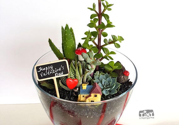 Unique Sand Art Gift Succulent Terrarium Unique Sand Art Gift Succulent Terrarium