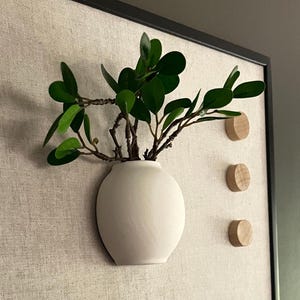 May include: A white ceramic wall vase with a round shape, holding a green leafy plant. The vase is mounted on a textured beige wall with three wooden knobs.