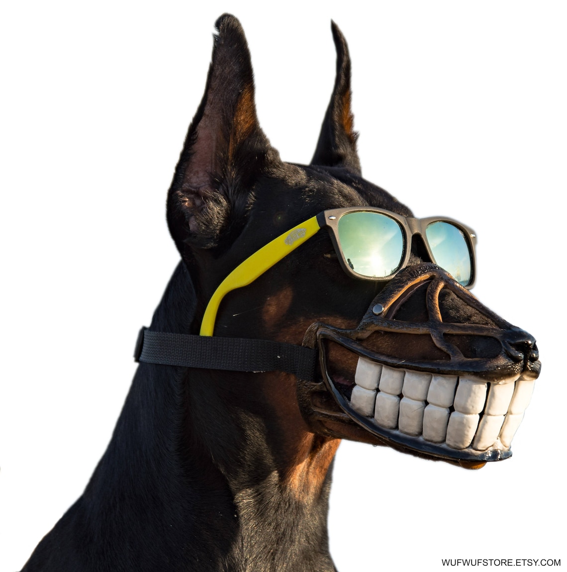 Pet Gift Funny dog muzzle Hand painted Smile dog muzzle Etsy