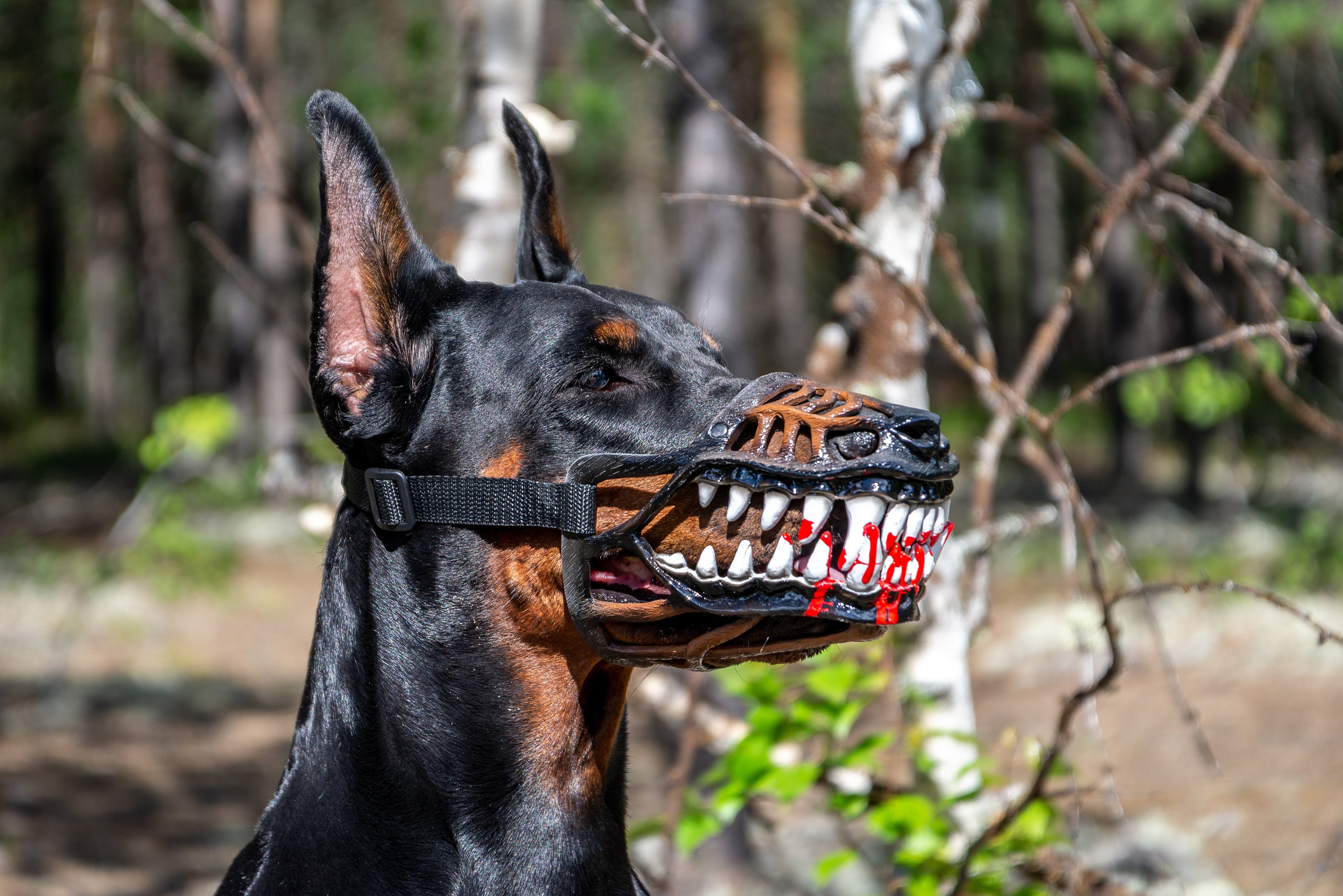 Pet Gift Werewolf Dog muzzle Scary Doberman muzzles Custom Etsy