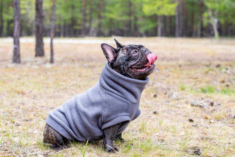 French Bulldog Gray Polar Antipilling Fleece Jacket Dog Etsy