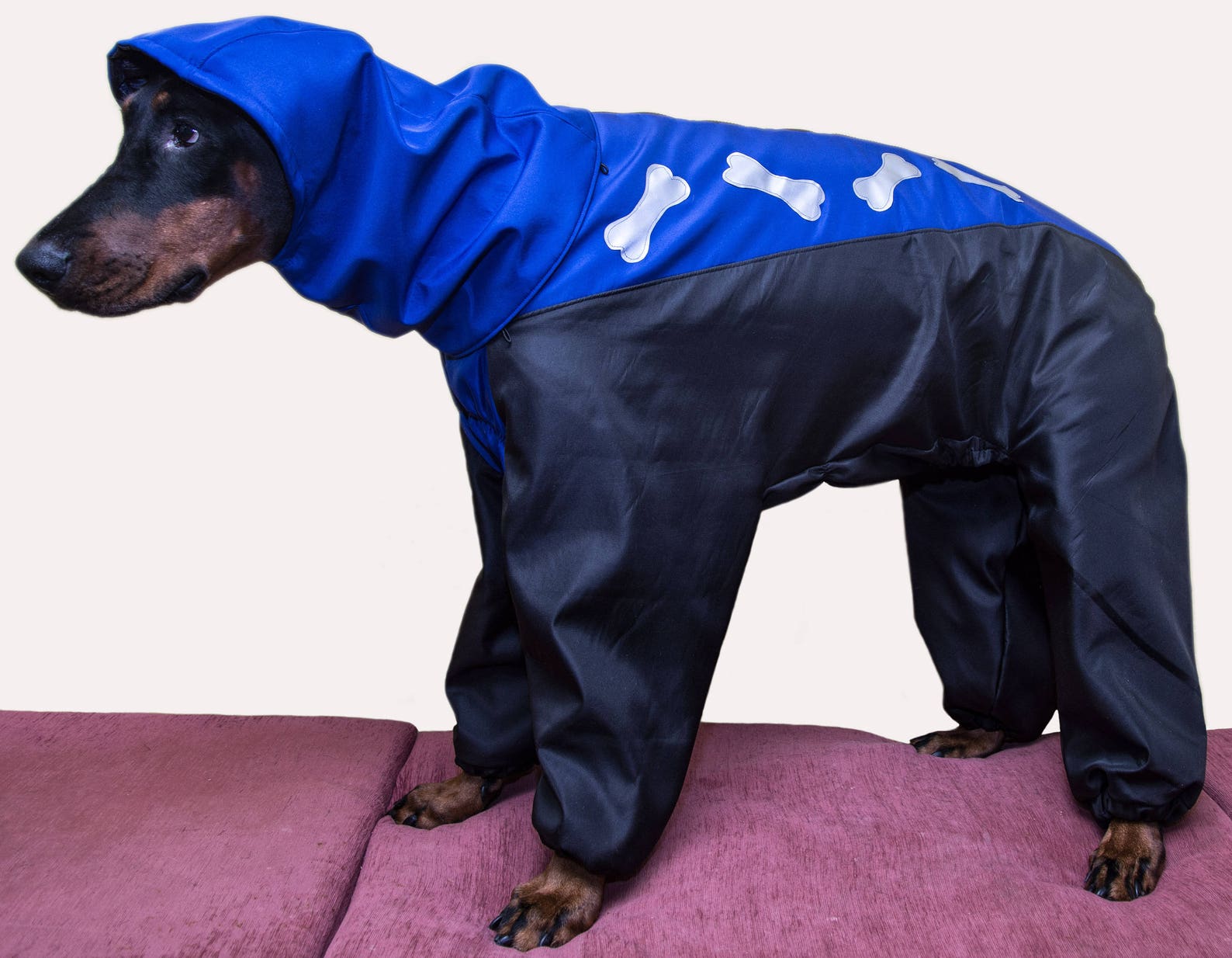 Pet Dog Doberman Winter Fall Jackets Coats Vest Horsecloth Etsy