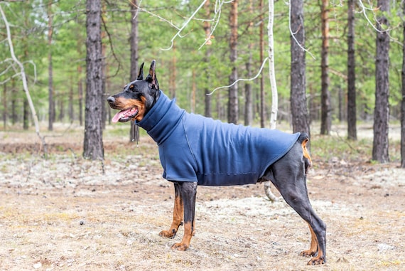 dog sweaters for dobermans