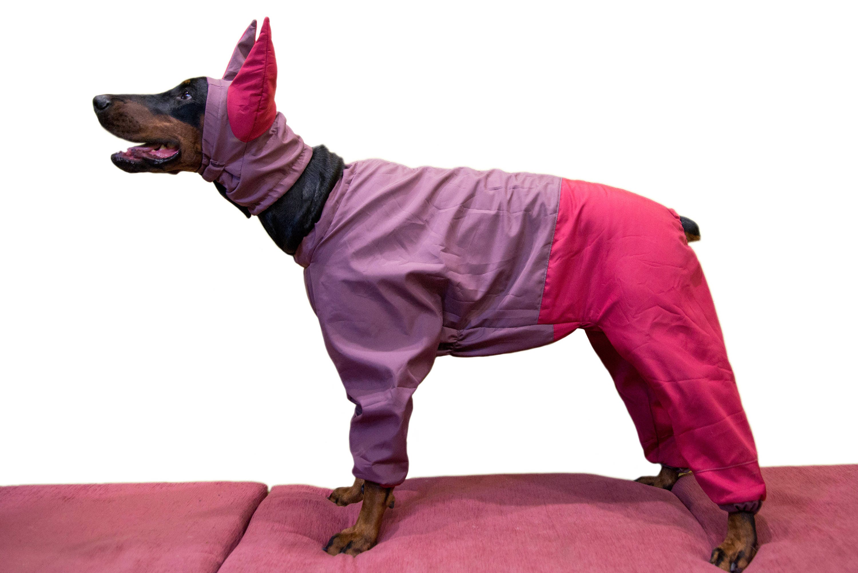 Doberman Winter Hat Doberman Warmer Dog Hat Dog Clothing Etsy