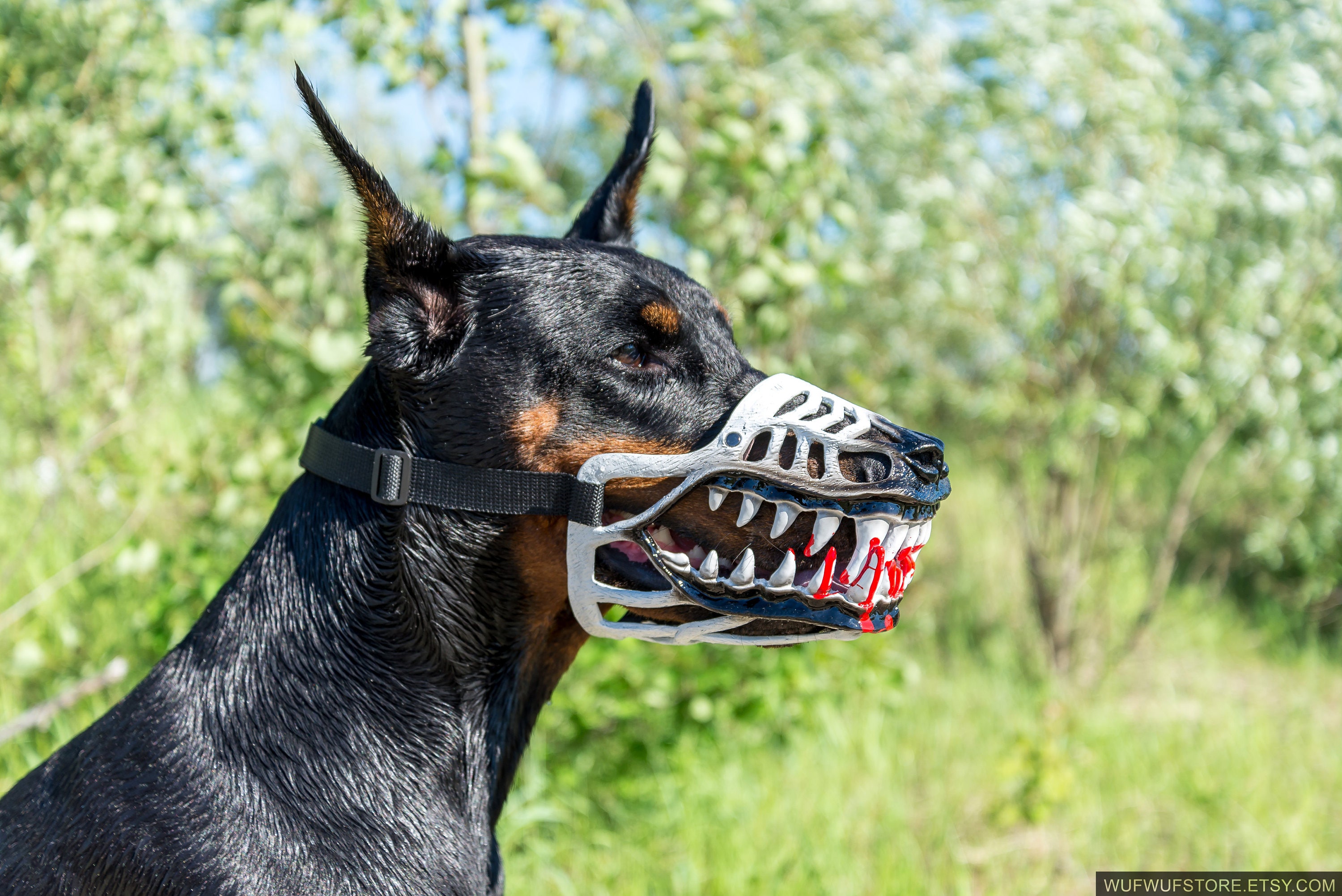dog muzzle