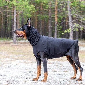 doberman sweater