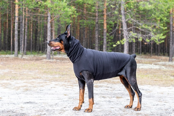 dog sweaters for dobermans