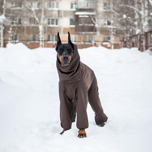 coats for dobermans
