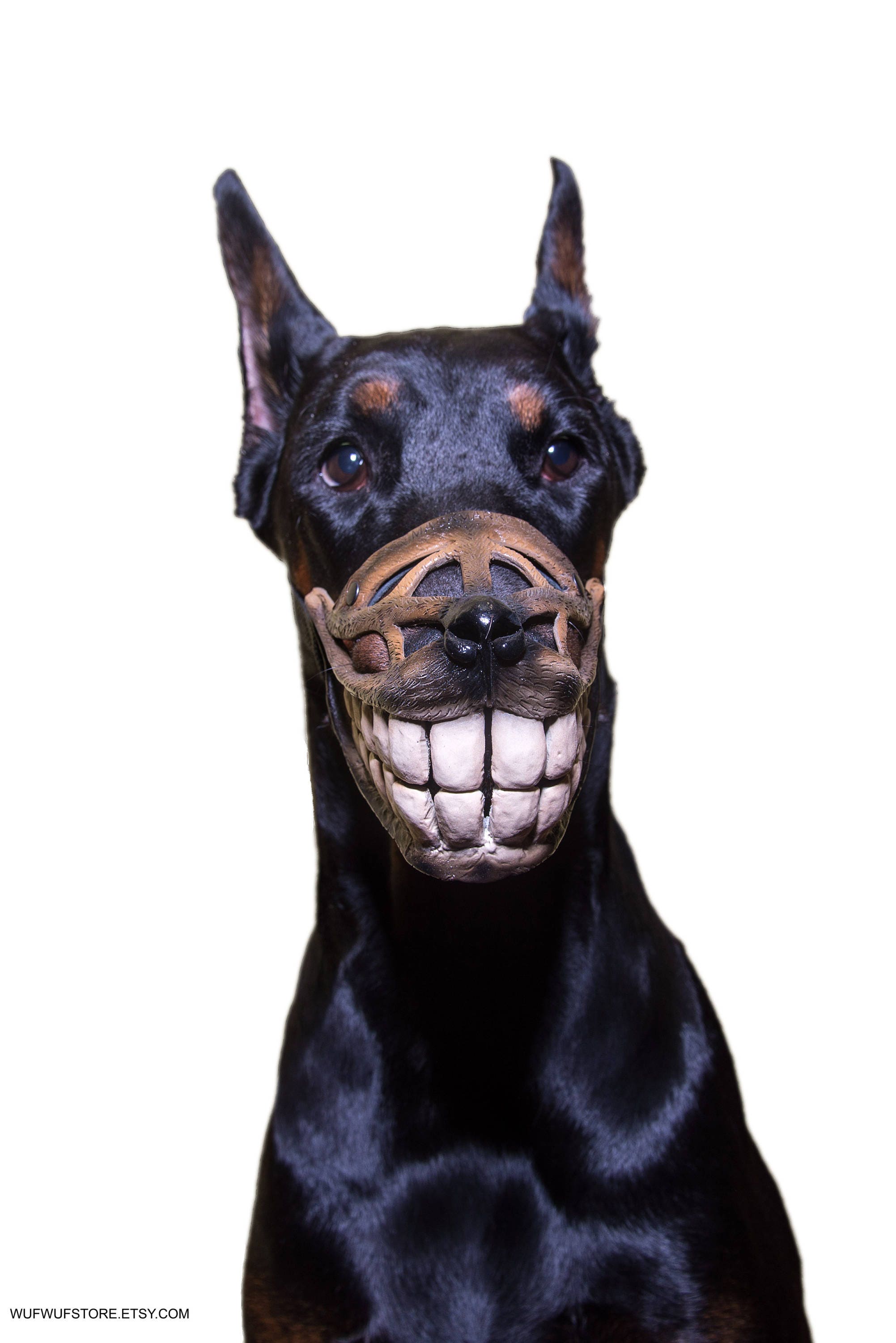 dog muzzle
