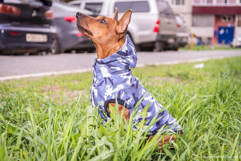 Summer blue camo small dog Hoodie Soft cotton pet sweatshirt Etsy