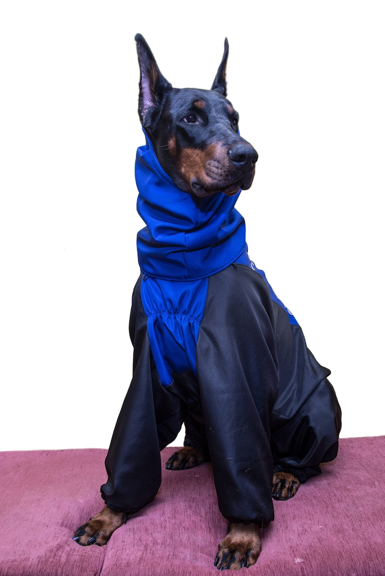 Pet Dog Doberman Winter Fall Jackets Coats Vest Horsecloth Etsy