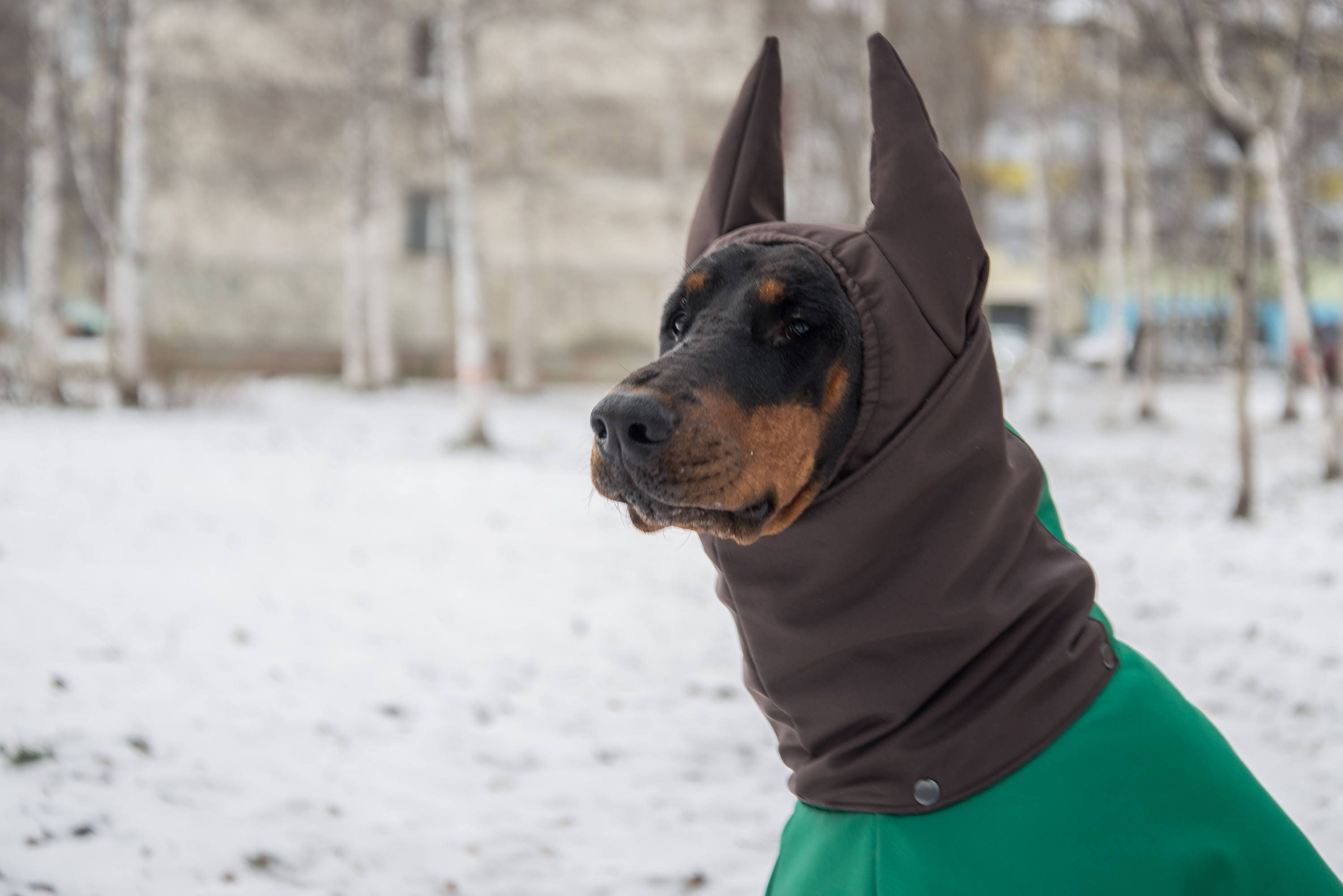 Dobermann Coats Pet Dog Winter Fall Rainy Weather Jackets Etsy
