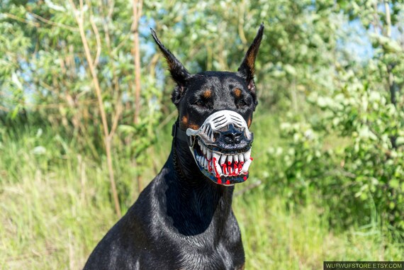 muzzle for miniature pinscher