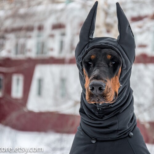 doberman winter gear