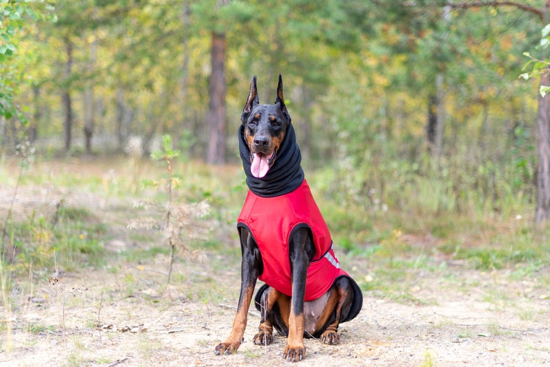 Doberman Winter Camo Dog Coat Winter Jacket Custom Etsy