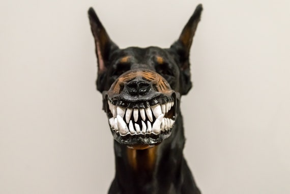 dog muzzle with teeth