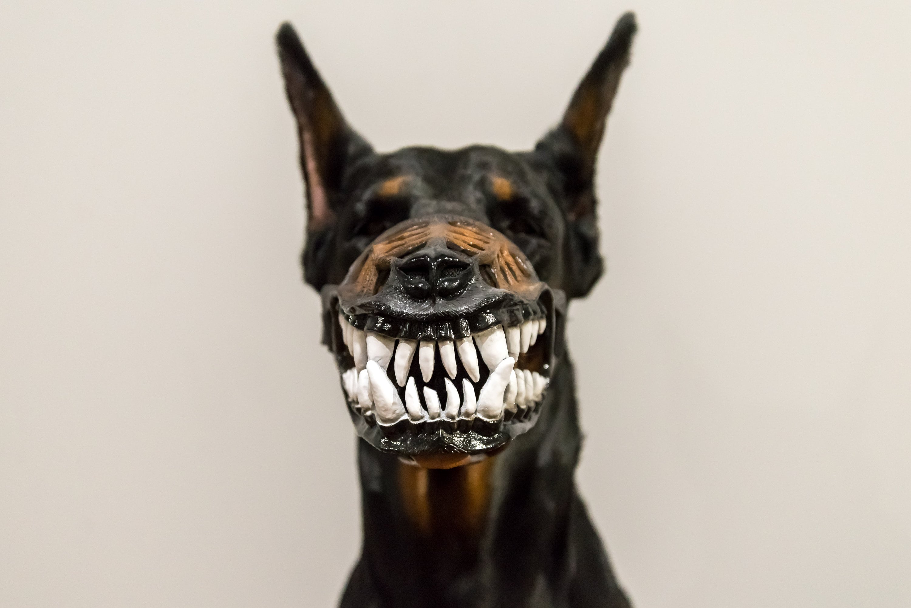 werewolf muzzle
