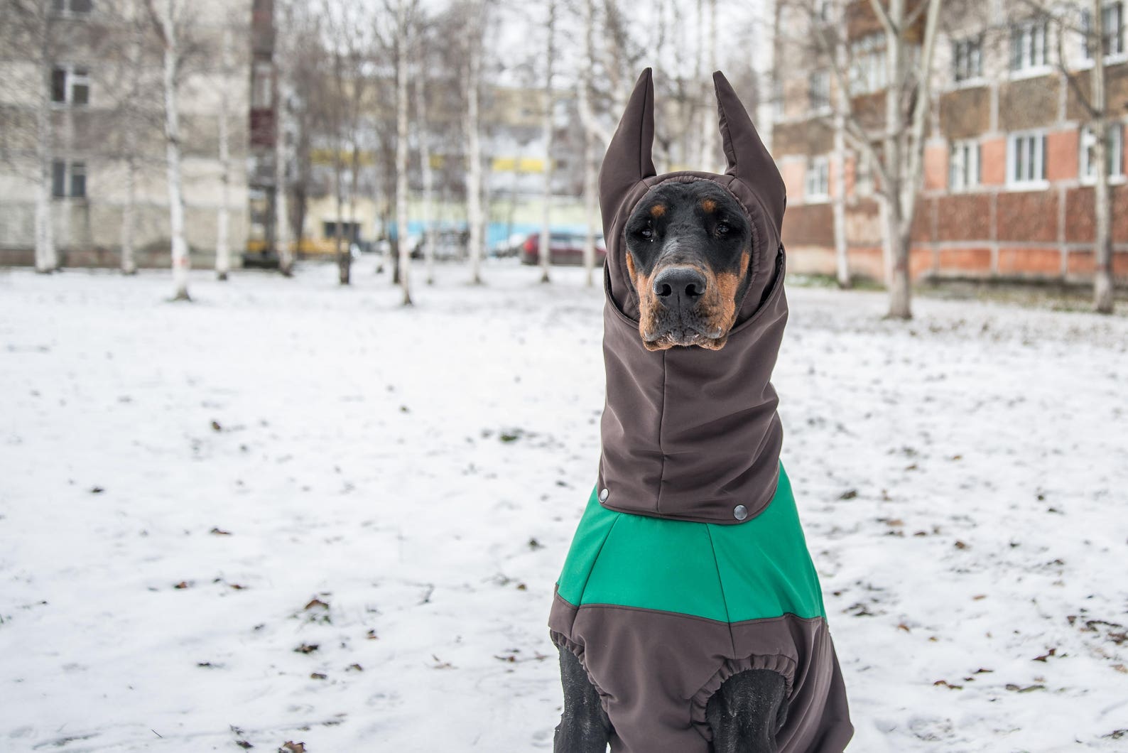 Dobermann Coats Pet Dog Winter Fall Rainy Weather Jackets Etsy