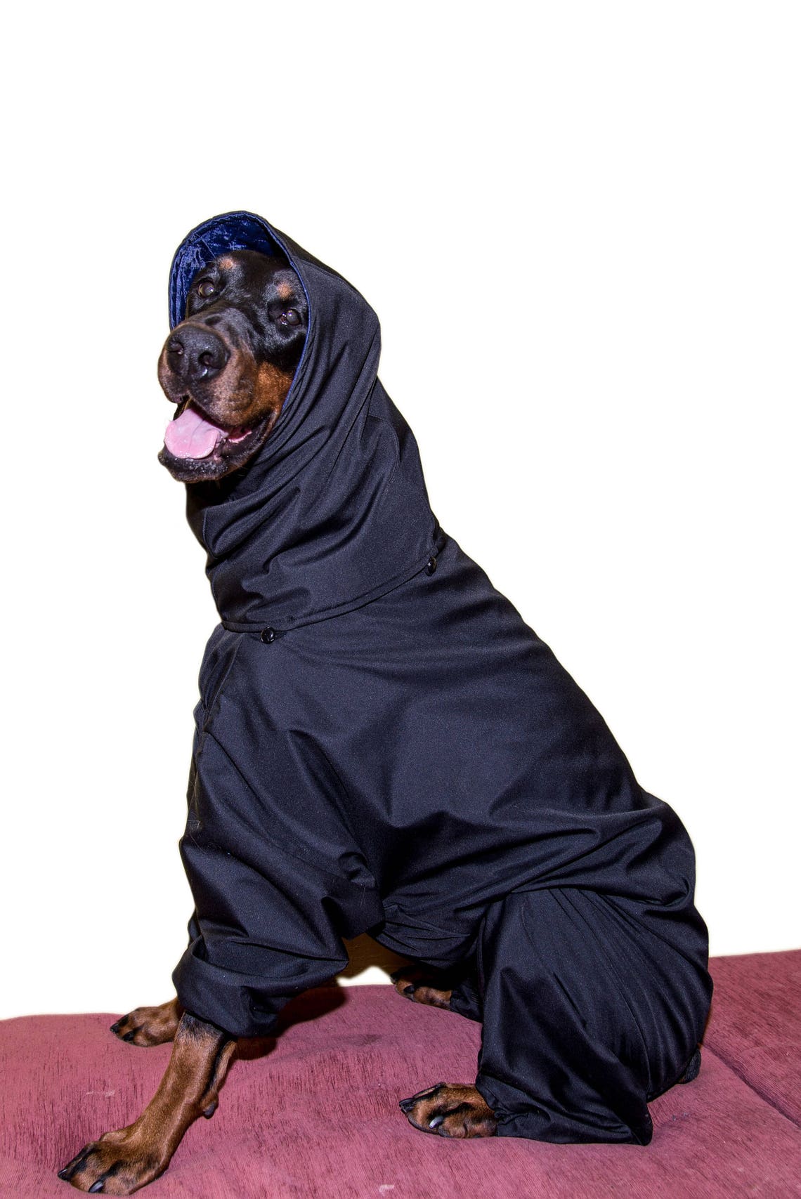 Pet Dog Doberman Winter Fall Jackets Coats Vest Horsecloth Etsy