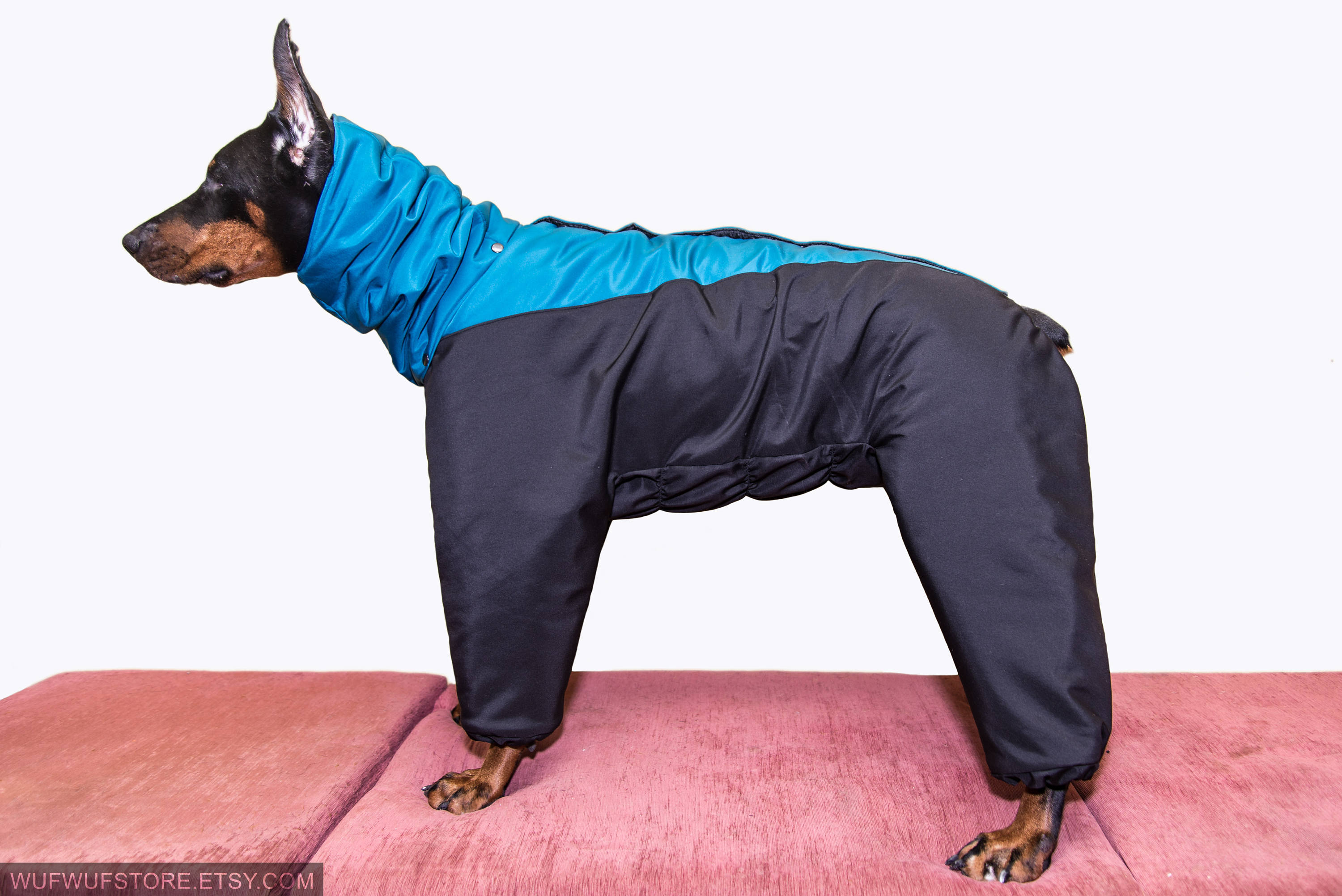 doberman dog coats