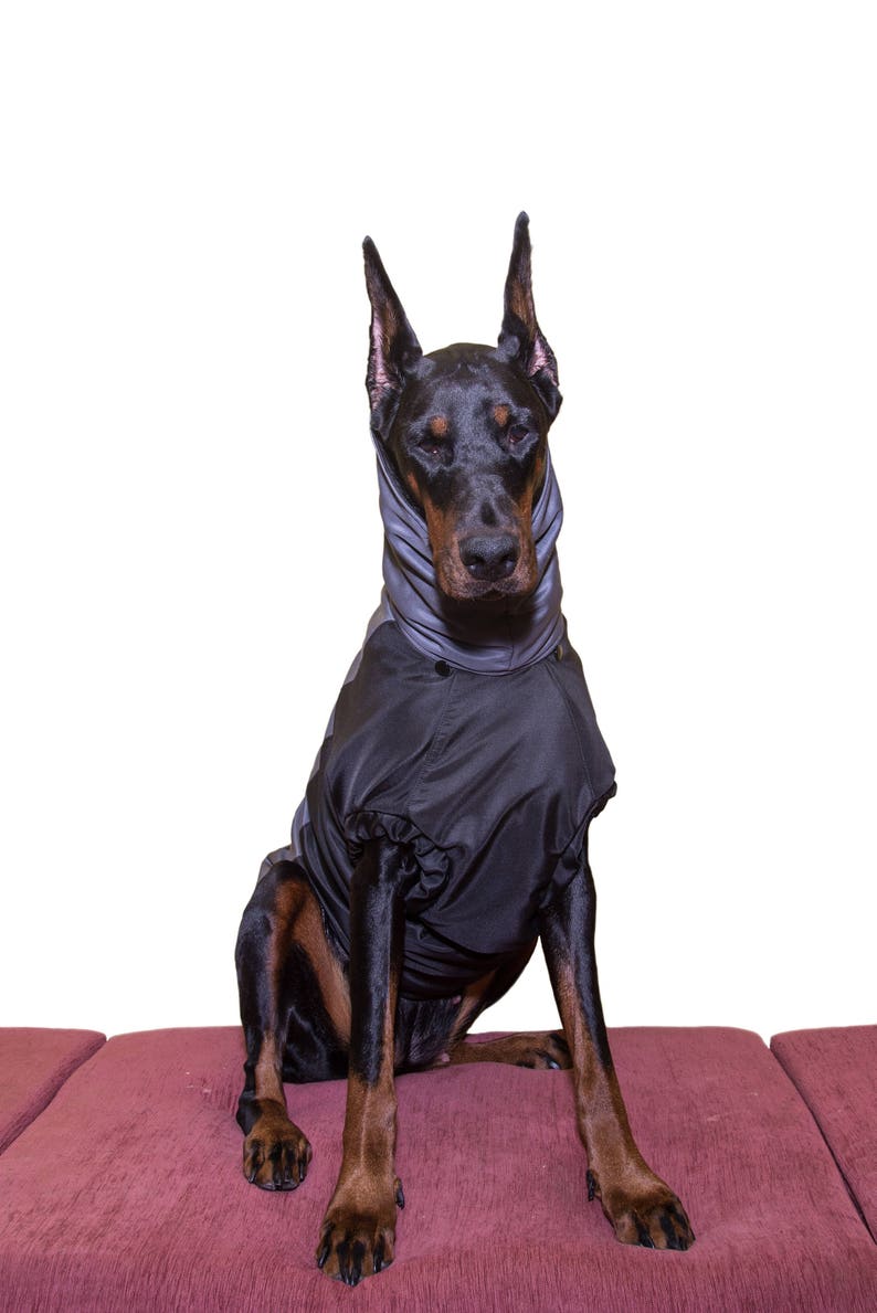 Dobermann Coats Pet Dog Winter Fall Rainy Weather Jackets Etsy