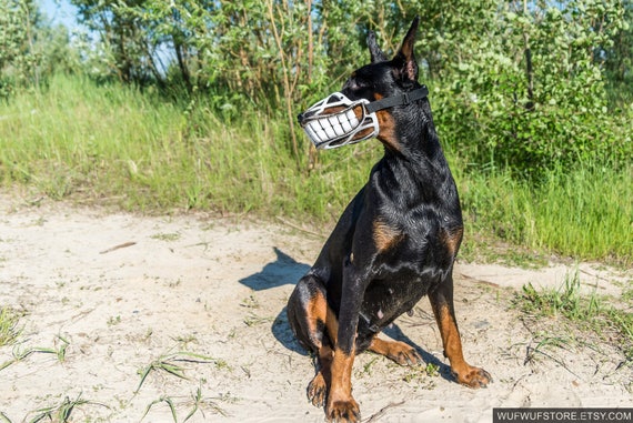 Funny Smiling Muzzle For Dog Doberman Pit Bull German Etsy