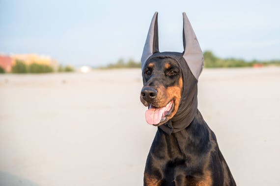 doberman hat