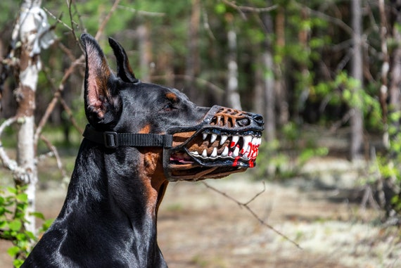 dog muzzle with teeth