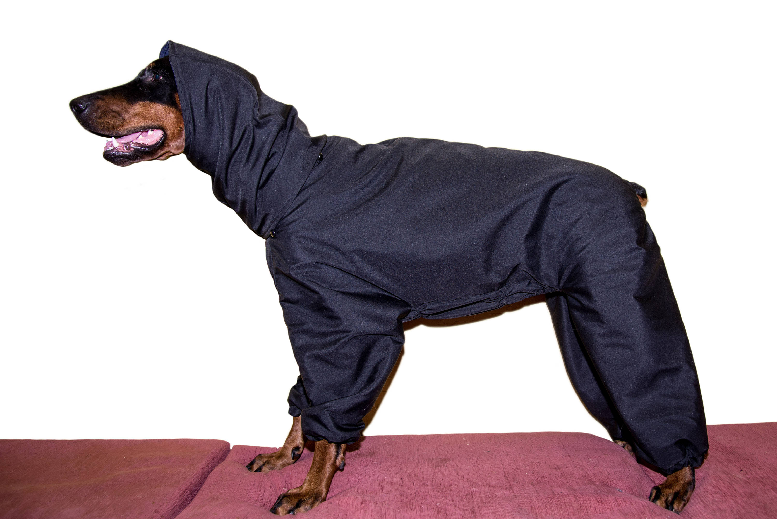 Pet Dog Doberman Winter Fall Jackets Coats Vest Horsecloth Etsy