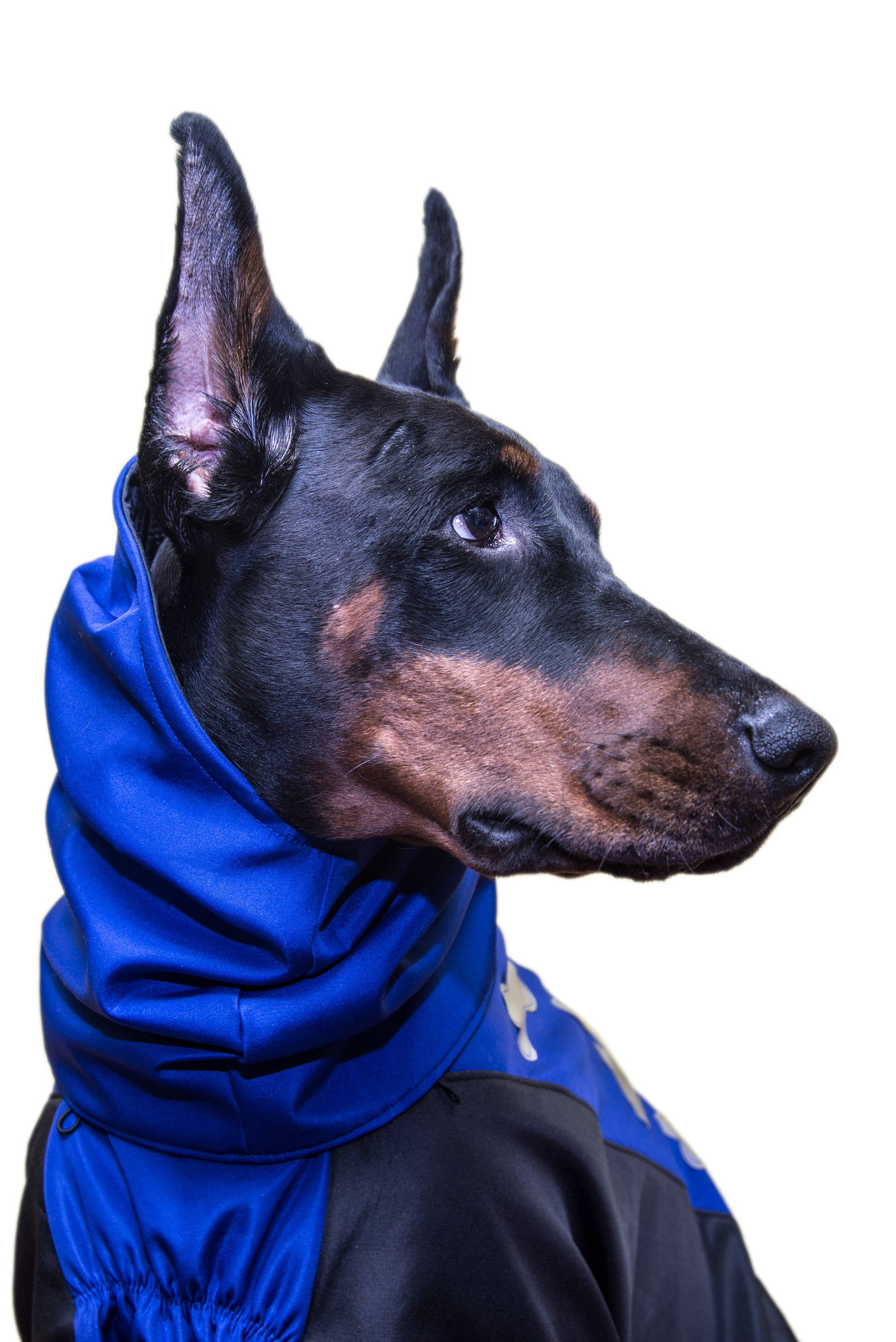 Pet Dog Doberman Winter Fall Jackets Coats Vest Horsecloth Etsy