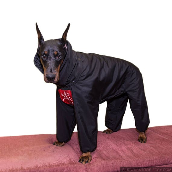 doberman winter jacket
