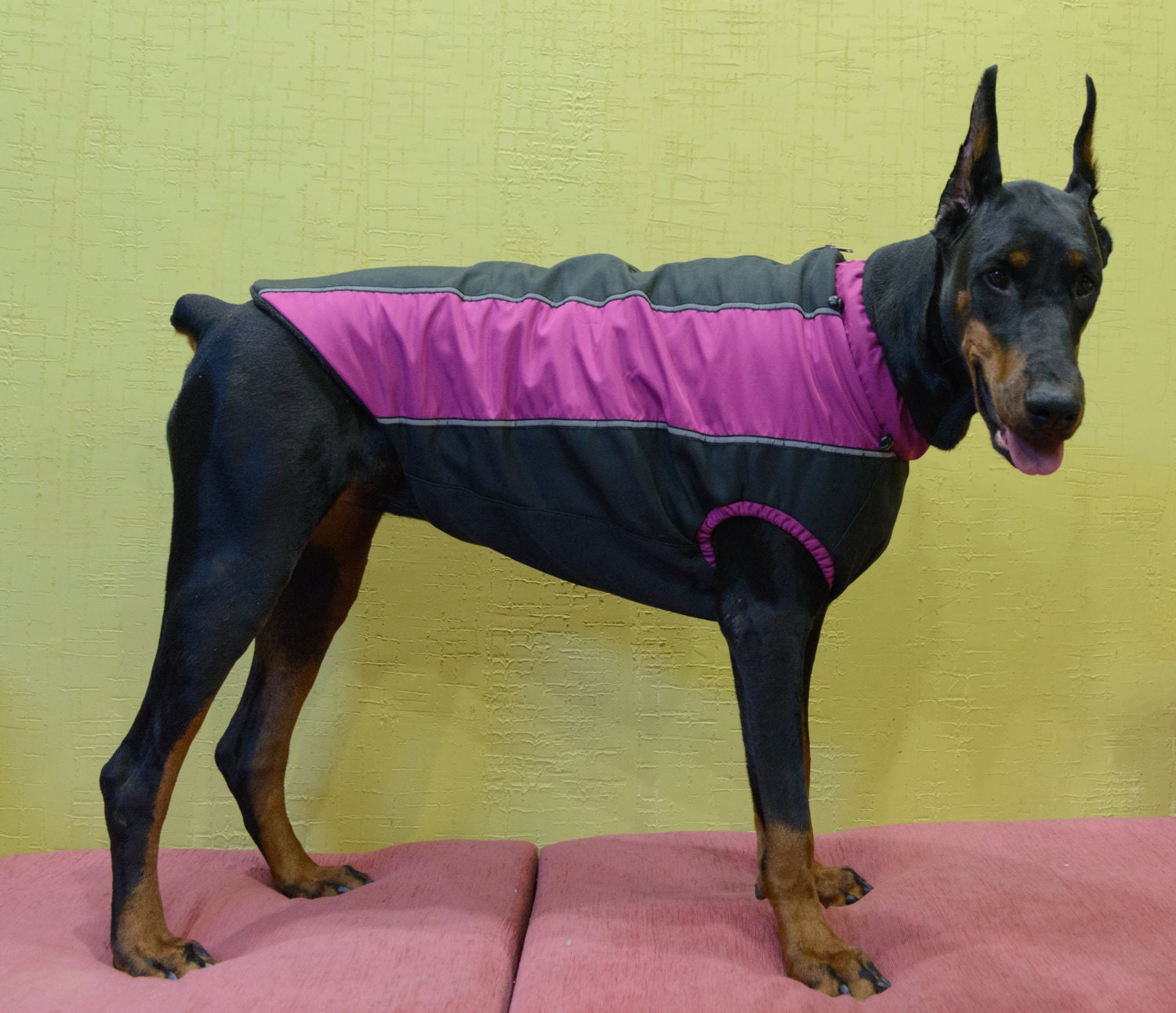 Dobermann Coats Pet Dog Winter Fall Rainy Weather Jackets Etsy