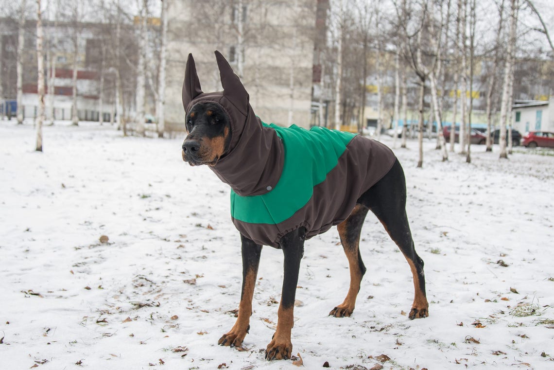 Dobermann Coats Pet Dog Winter Fall Rainy Weather Jackets Etsy