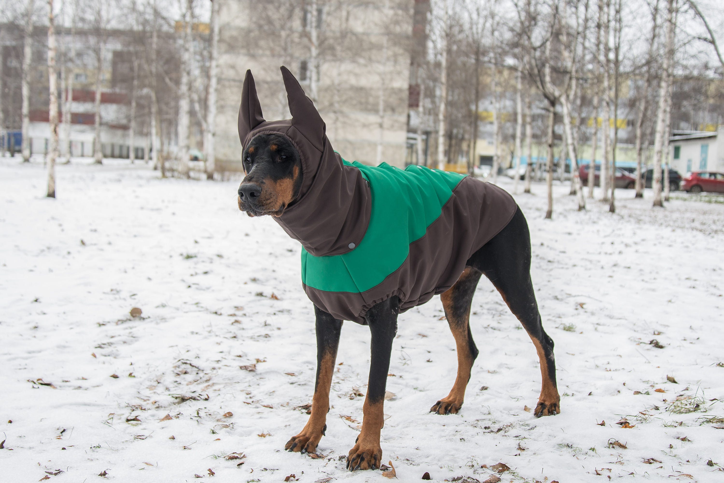 Dobermann Coats Pet Dog Winter Fall Rainy Weather Jackets Etsy