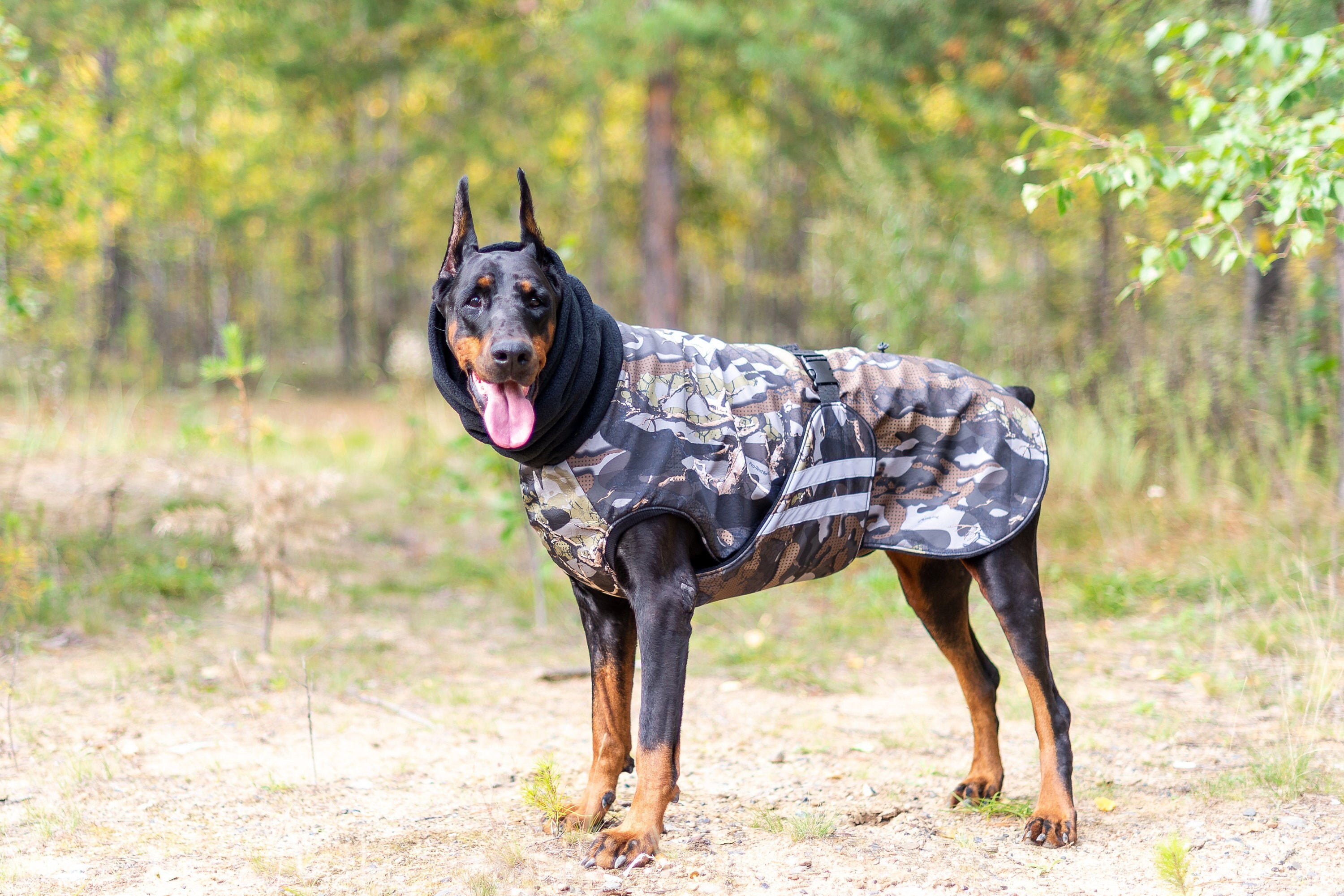camo dog jackets winter