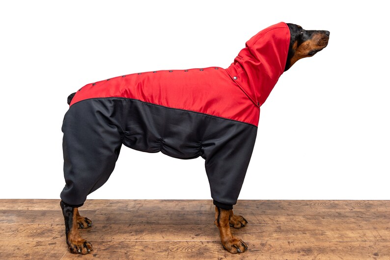 custom dog snowsuit