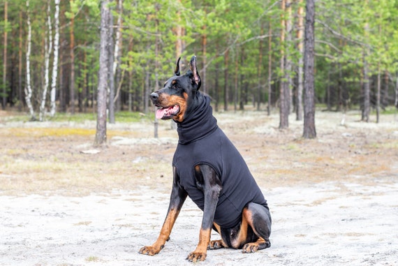 diy dog diaper with sock