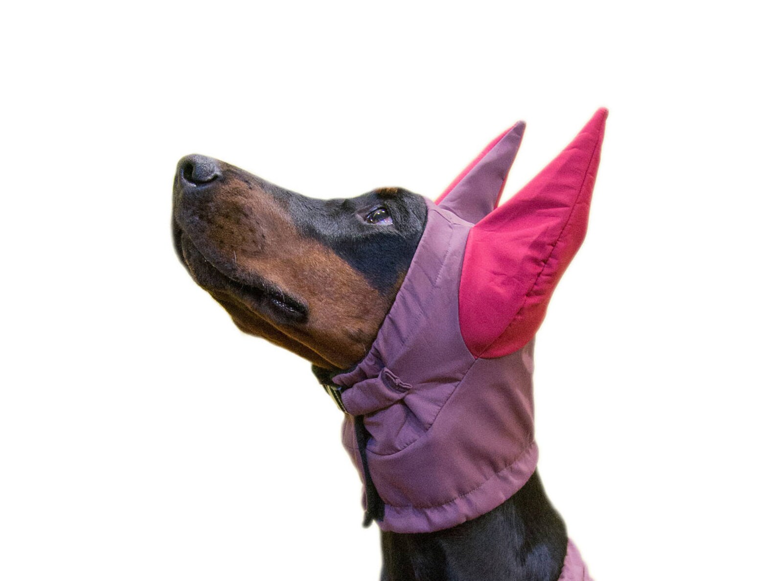 Doberman Winter Hat Doberman Warmer Dog Hat Dog Clothing Etsy